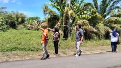 Kemenaker Pastikan Lahan Pembagunan BLK Tidak Ada Masala: Menunjukan Progres Positif